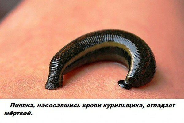 Спорим, вы не знали...
