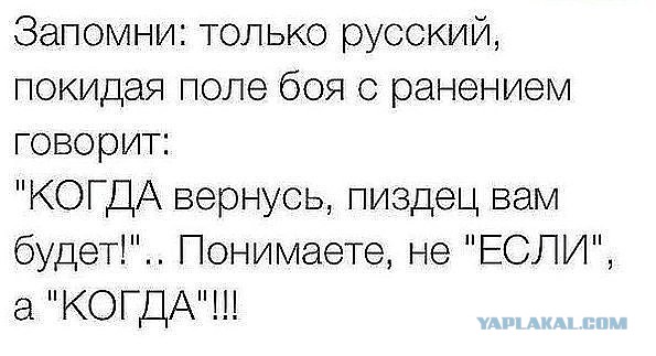 Анекдоты, соц-сети и картинки с надписями