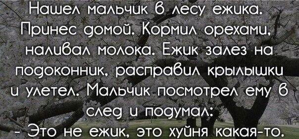 Прикольные комментарии и высказывания из Сети 10.08.19
