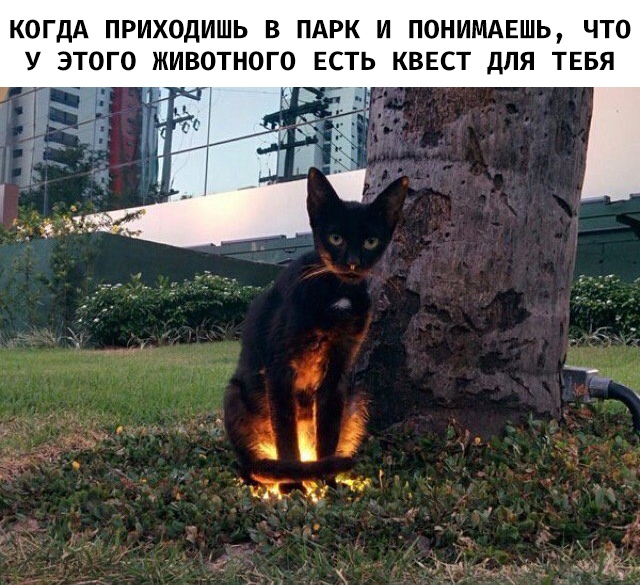 Картинки на воскресный день