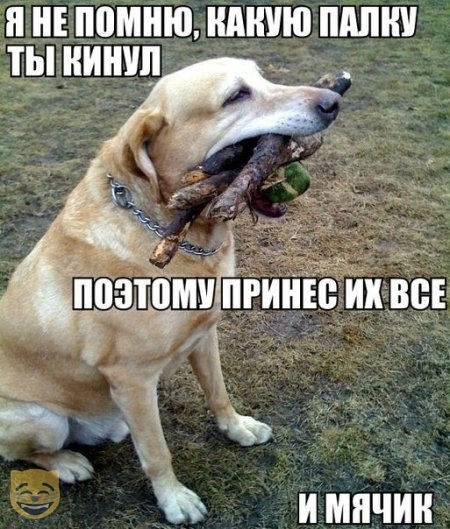 Чуток картинок 1 апреля