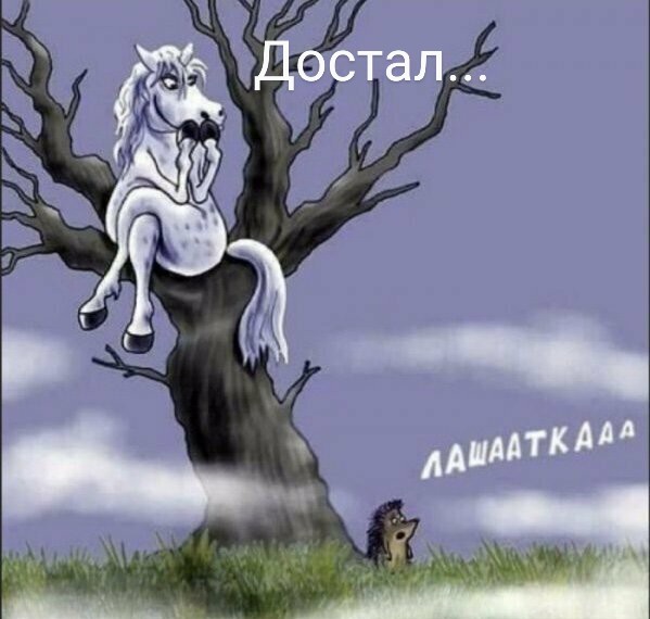 Немного картинок для настроения 19.05.20