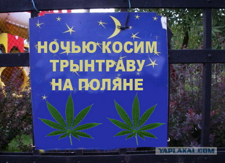 Фотожаба: Ночью парк стережем мы!