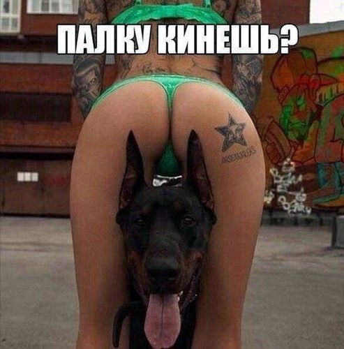 Очень пошлые картинки про это. Часть 2. 18+