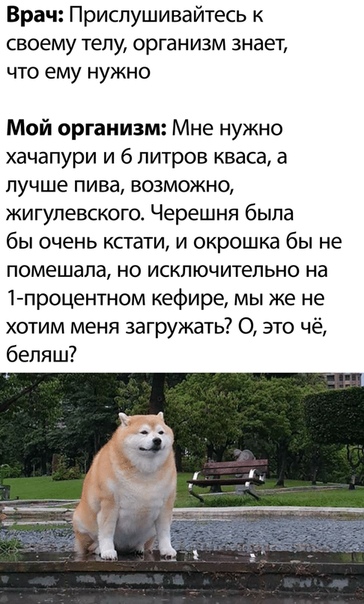 Немного картинок для настроения 29.07.20