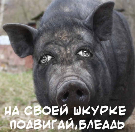 Это вам не на мокрых тряпках шкафы двигать
