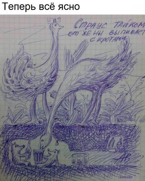 Не шутите с птицами!