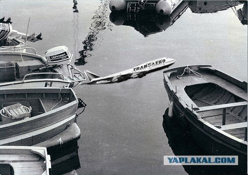 Фотожаба: Полет Барсика