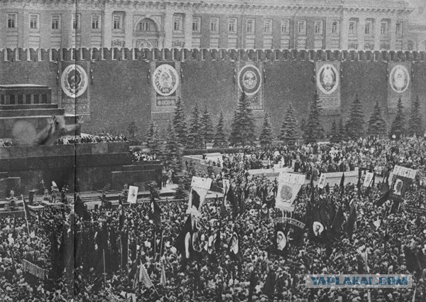 Фотожаба: Белка как бы говорит нам...