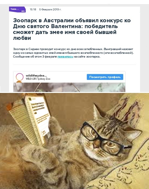 Так себе картинки 24.02.21