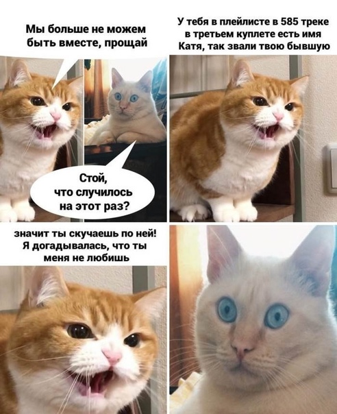 Картинки и мемы для настроения 24.02.2021