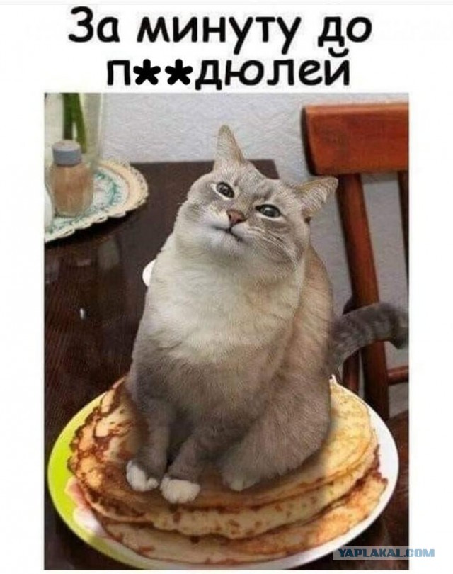 Винегрет из картинок боянистых и не очень для настроения или просто скоротать время