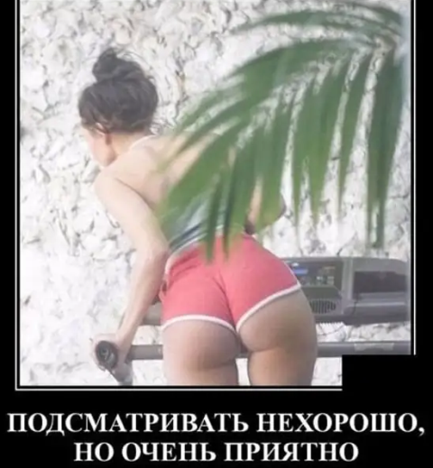 Так себе картинки 12.06.21