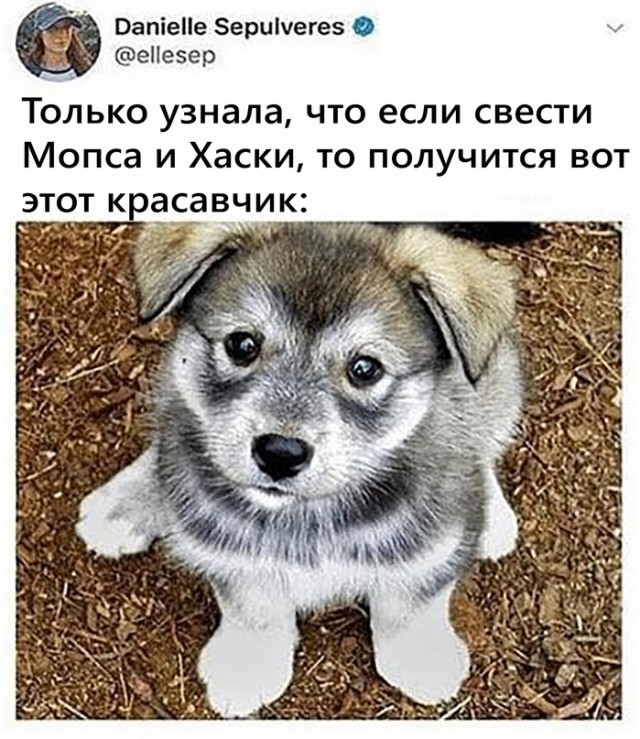 Картинки и мемы для настроения 23.09.2021