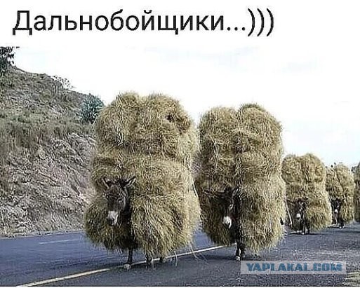 Так себе картинки 19.10.21