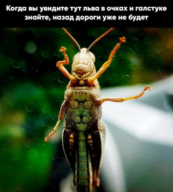 Прикольные и просто красивые картинки 10.11.2021