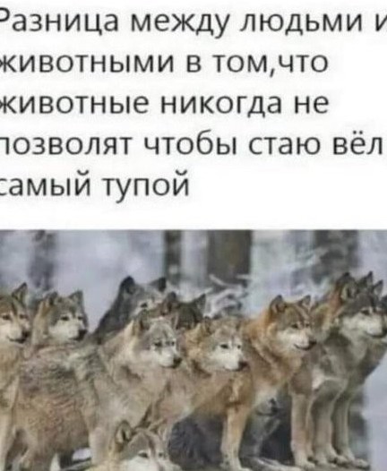 Пожалуйста не надо! Я невкусный!