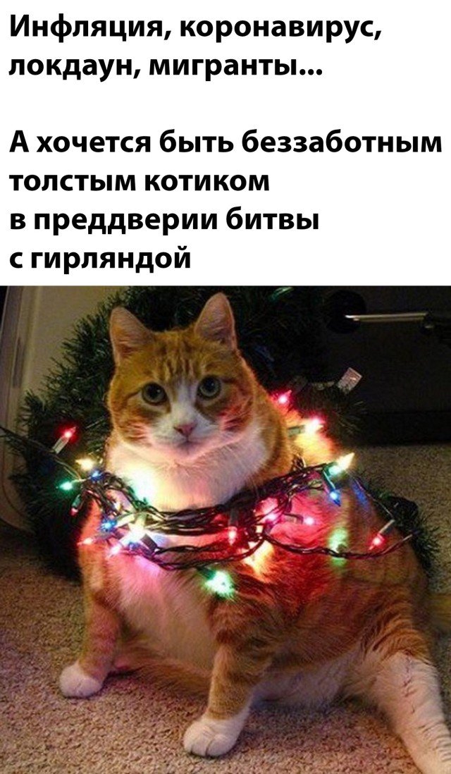Картинки на разную тематику