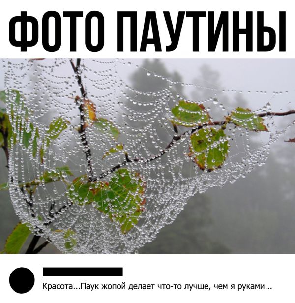 А такую кракозябру вы видели?