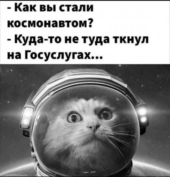 Фото-винегрет-5. Картинки ниапчём и обо всём