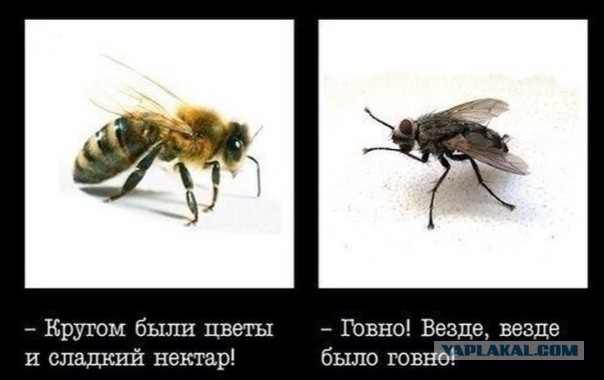 Новый завод ГАЗ начал серийное производство. Он станет основой для локализации лёгкого дизельного двигателя
