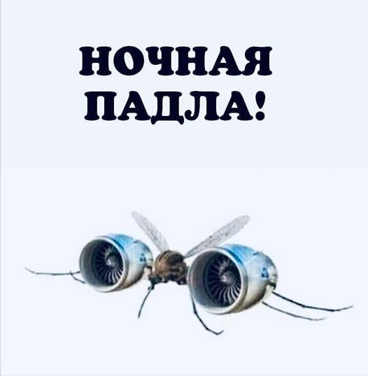 Пятница. Вечер. Картинки всякие #9