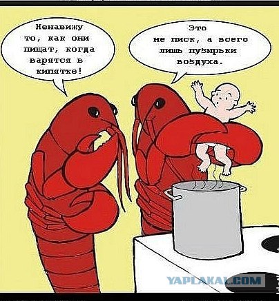 В погоне за раками