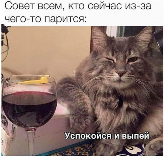 Картинки и мемы для настроения. Выходные рядышком...
