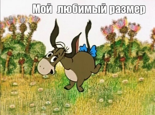 25 фото сударынь