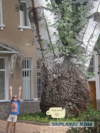 Негламурный курорт Крыма