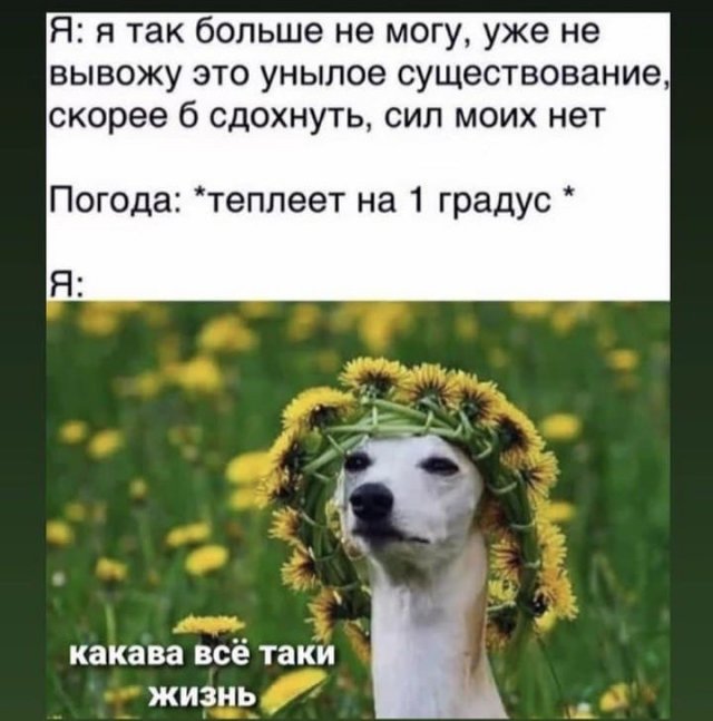 Так себе картинки 10.09.22
