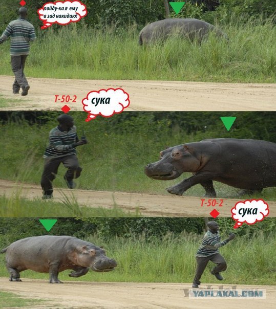 Wargaming 2
