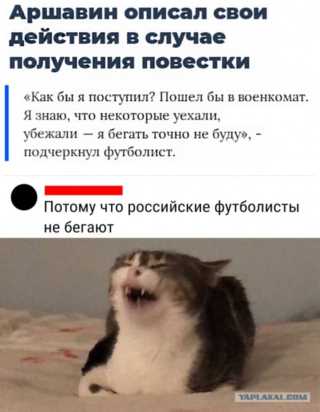 Так себе картинки 26.10.22