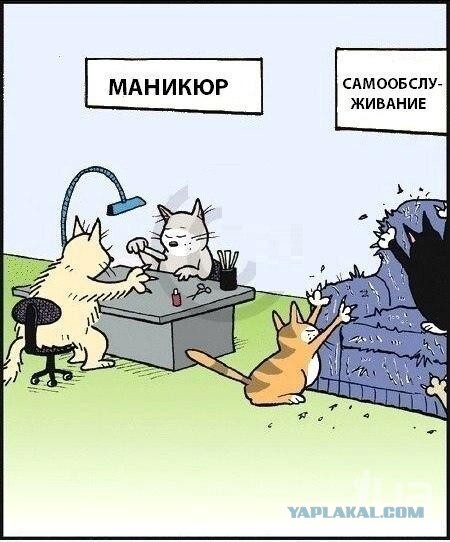Уроки от папы