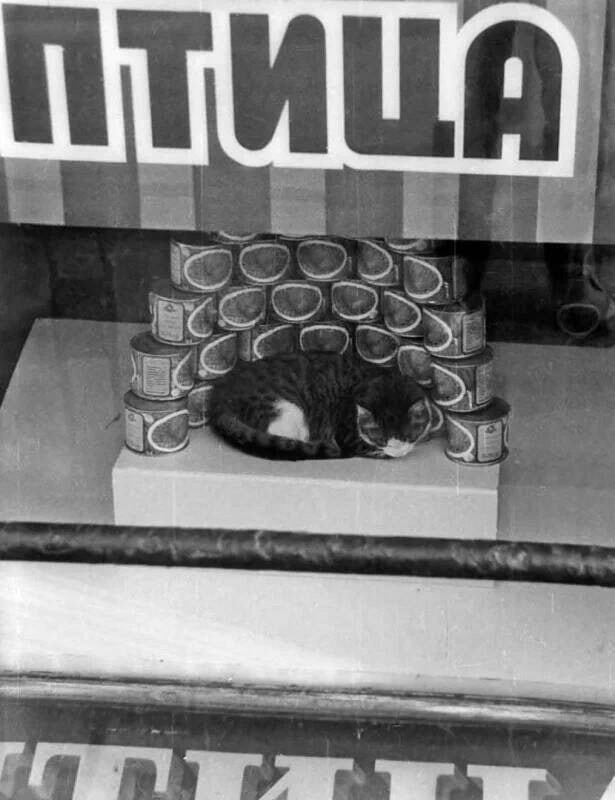 Фотографии из прошлого нашей страны - 6