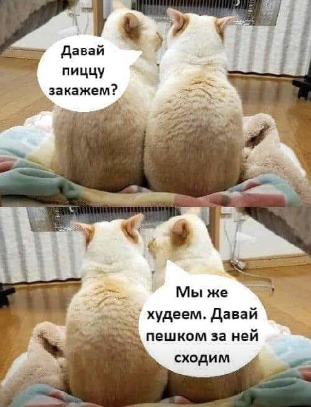 Нуштош 05.03.2023
