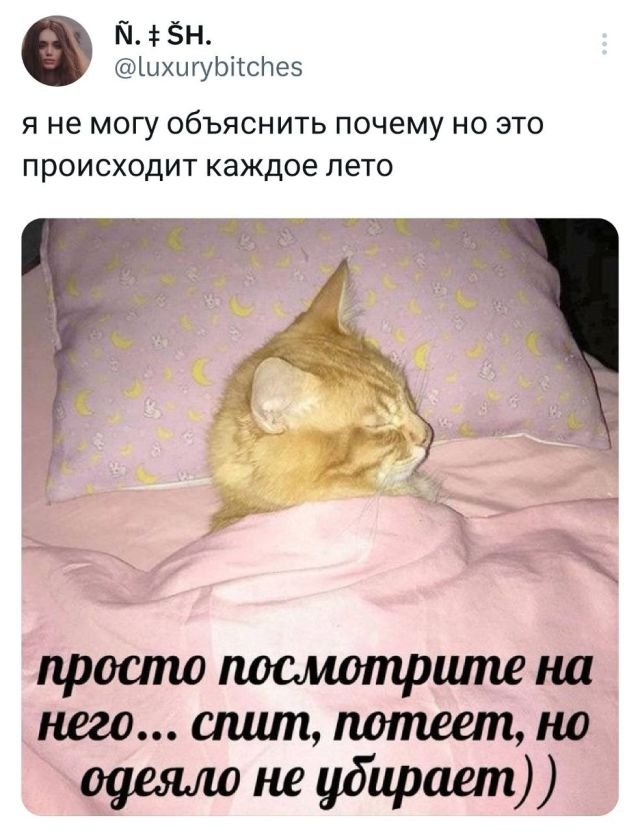 Картинки и мемы, всяко разно - 183