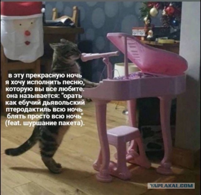 Джаз-банда