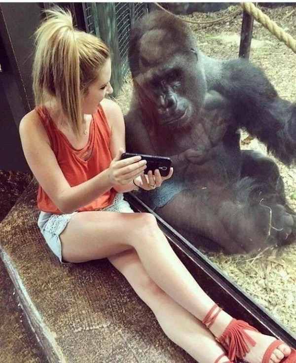 ФотоВинегрет