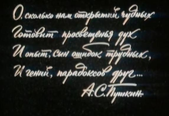 Тыж программист