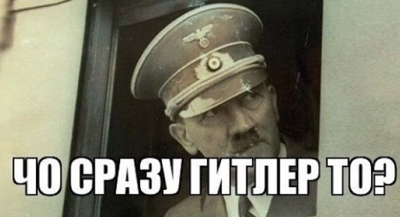 Просто кот