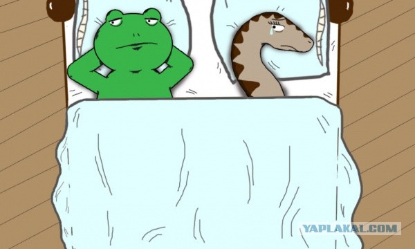 Пассажира «Победы» сняли с рейса Сургут–Махачкала за оскорбление представителя авиакомпании