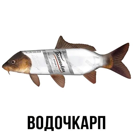 Укуренные картинки