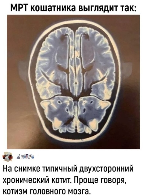 Всякая всячина