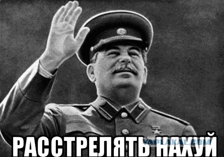 Свинья это состояние души