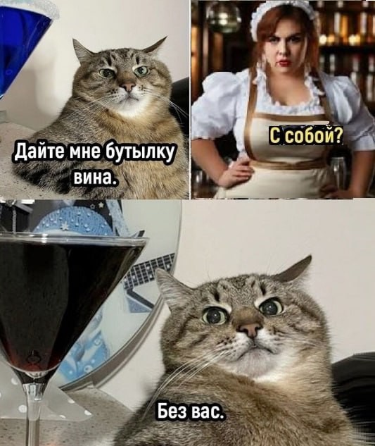 Картинки для деградации 36 (разной степени свежести)