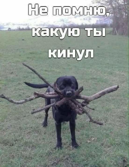 Картинки для деградации 79 (разной степени свежести)