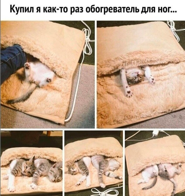Картинки для деградации 84 (разной степени свежести)