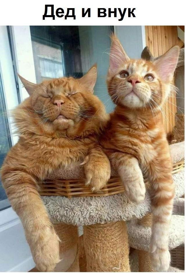 Прикольные и просто красивые картинки 18.11.2025