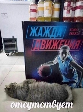 Когда не с кем выпить